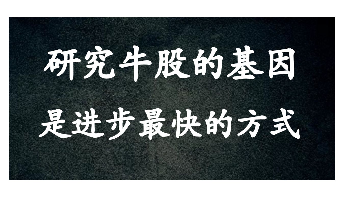 A股:热点回溯,复盘妖股从历史牛股中获取经验!哔哩哔哩bilibili