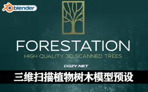 Download Video: Blender插件：高质量三维扫描植物树木模型预设Forestation V1.0