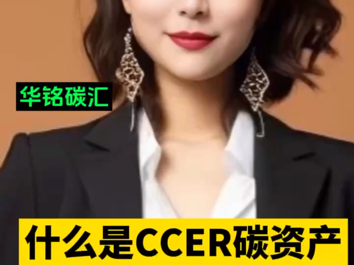 什么是CCER碳资产哔哩哔哩bilibili