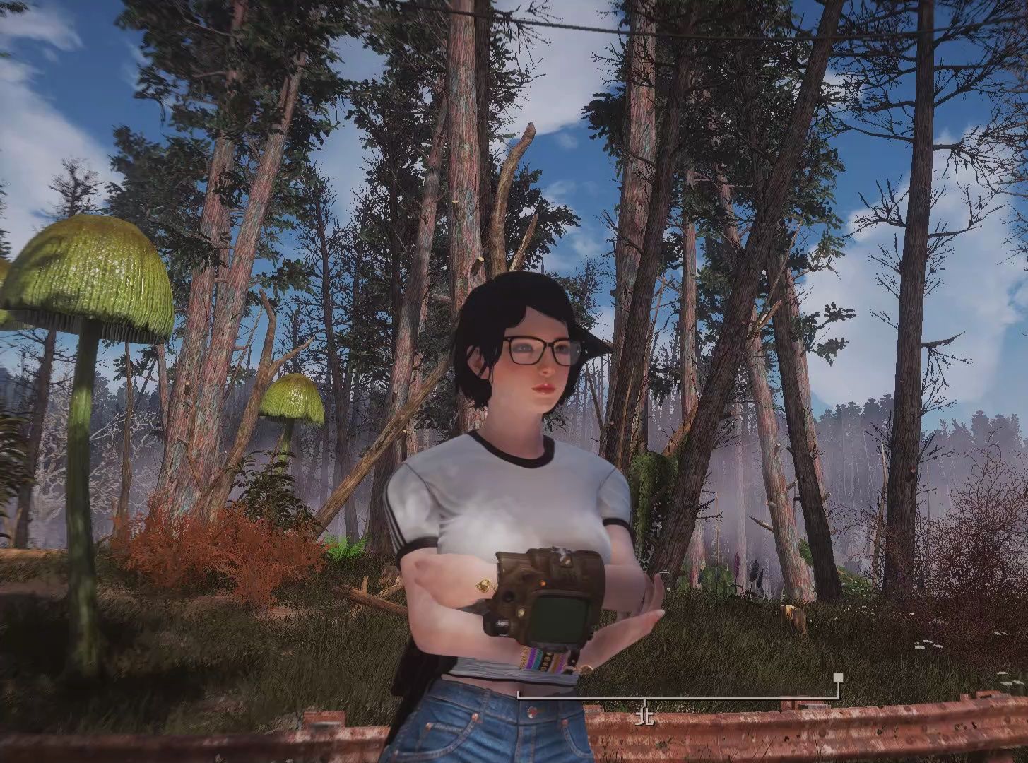 自改 辐射4 今天依旧绅士