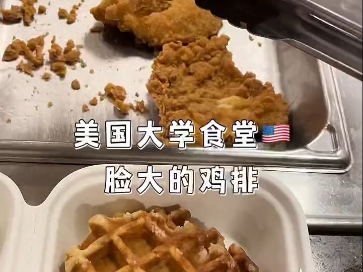 吃饱饱大学食堂,脸大的鸡排哔哩哔哩bilibili