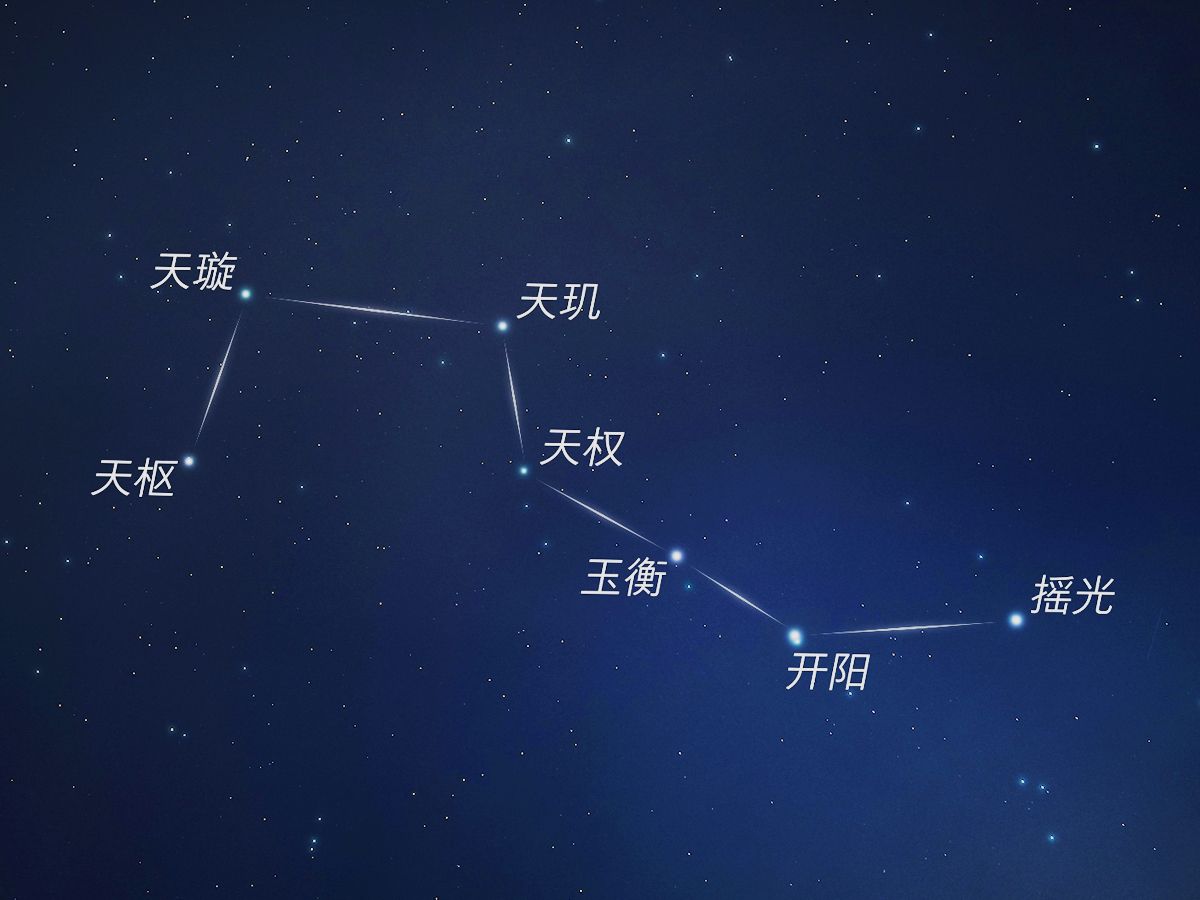 科名星图解图片