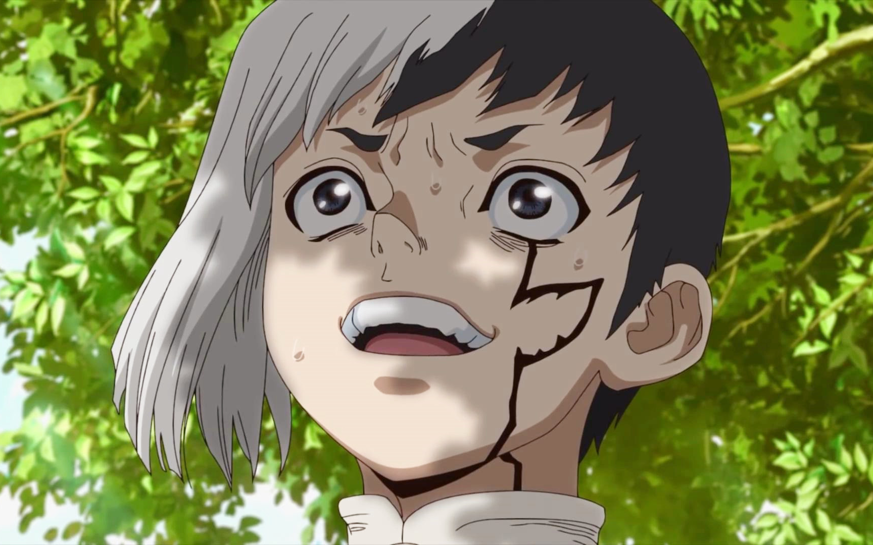 【7月】dr.stone 石纪元 第22话 予告【mce汉化组】