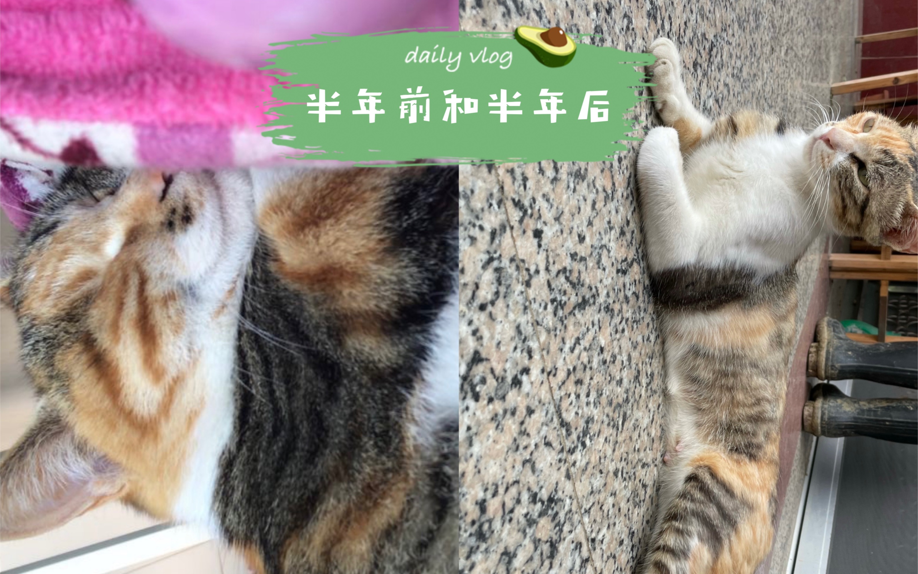 三三瘦身记半年前和半年后的三三