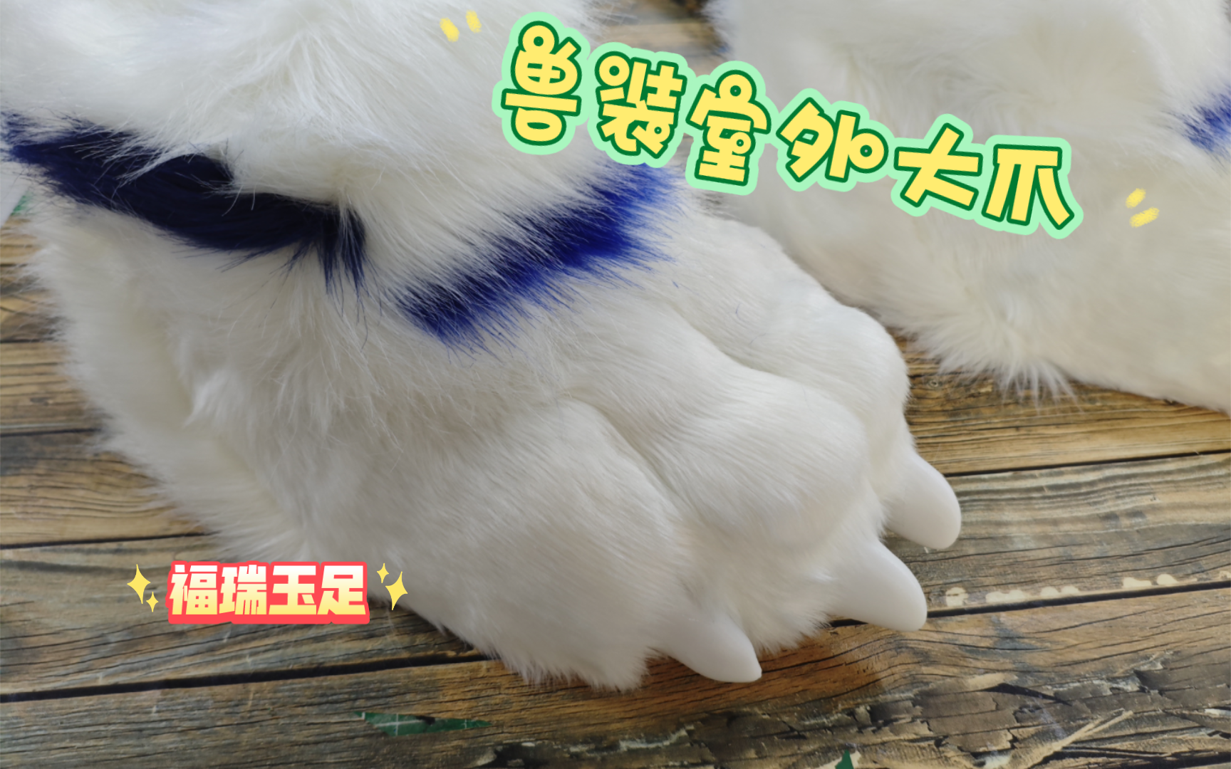 成年狼狼脚爪,充满了力量骨感一脚踩在你辛巴上
