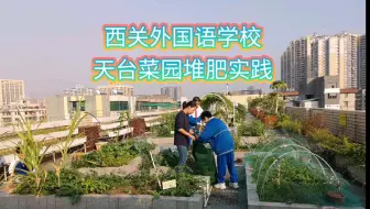 西关外国语学校，天台菜园堆肥实践，变废为宝垃圾减量，学校堆肥实践（3）
