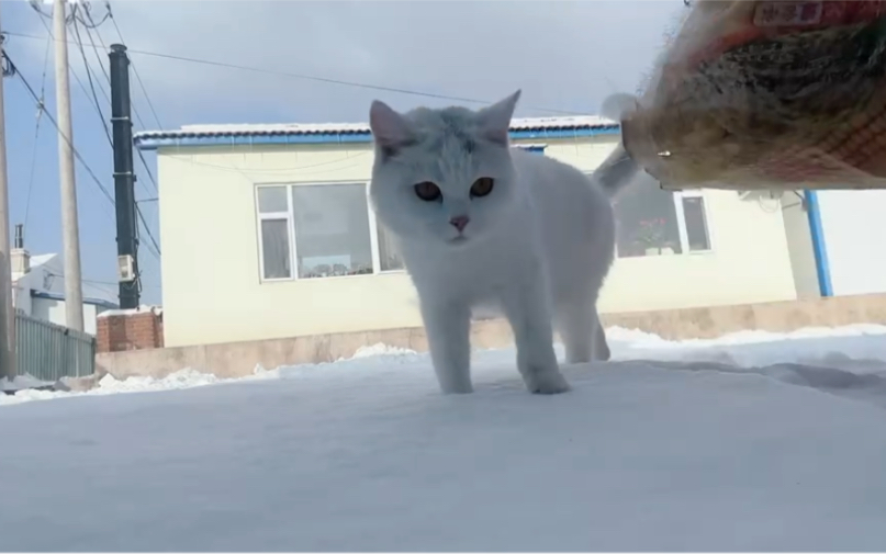 [图]东北农村刚下完大雪气温零下27度 赶紧烧炕取暖