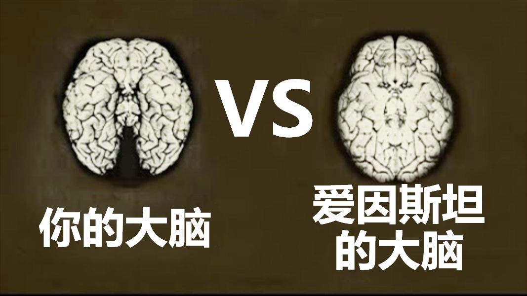 爱因斯坦的大脑到底有什么不同?为什么那么聪明?谜题终于解开了哔哩哔哩bilibili