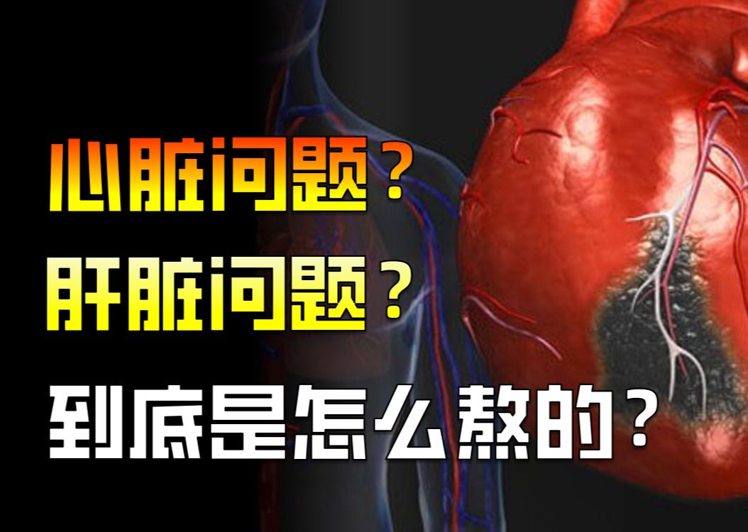 年轻人猝死的原因是什么?无声的杀手对我们影响有多大?哔哩哔哩bilibili