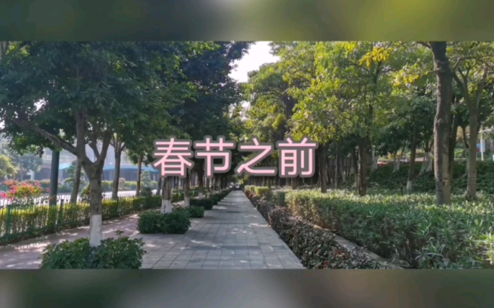 春节前后对比,这个故事要从一只蝙蝠说起