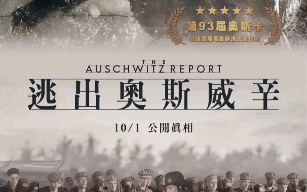 活动作品伪纪录片奥斯维辛观后感人性泯灭