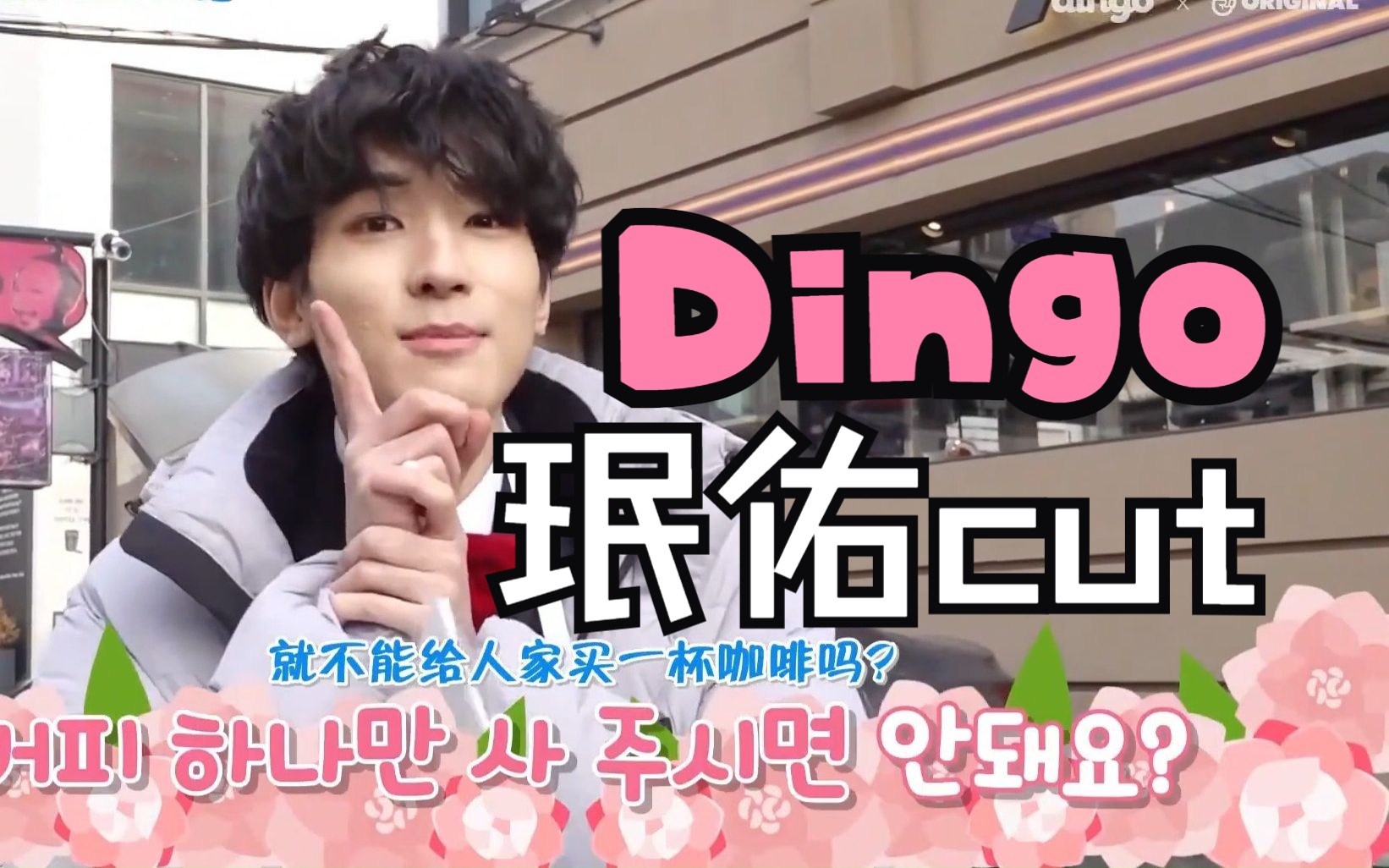 【珉佑】Seventeen Dingo 双人同框+单人镜头cut①哔哩哔哩bilibili