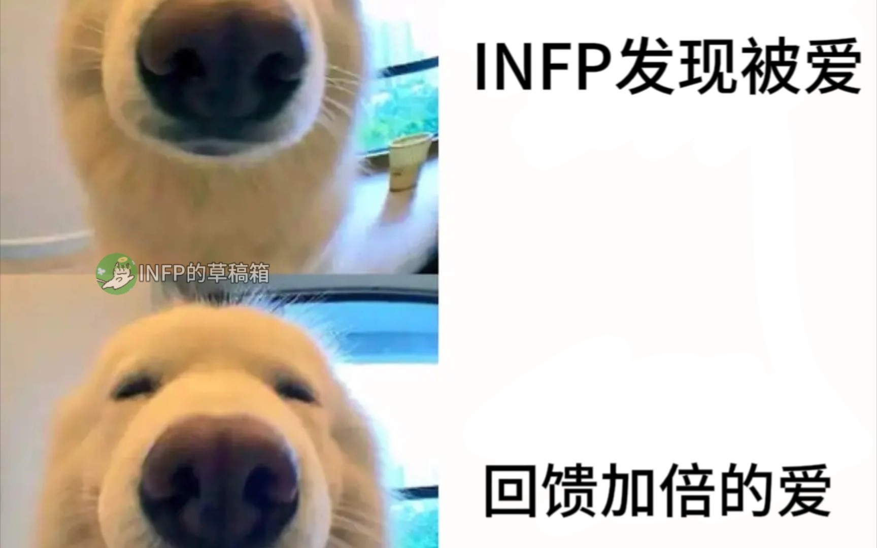 INFP|我纠结于爱与被爱哔哩哔哩bilibili