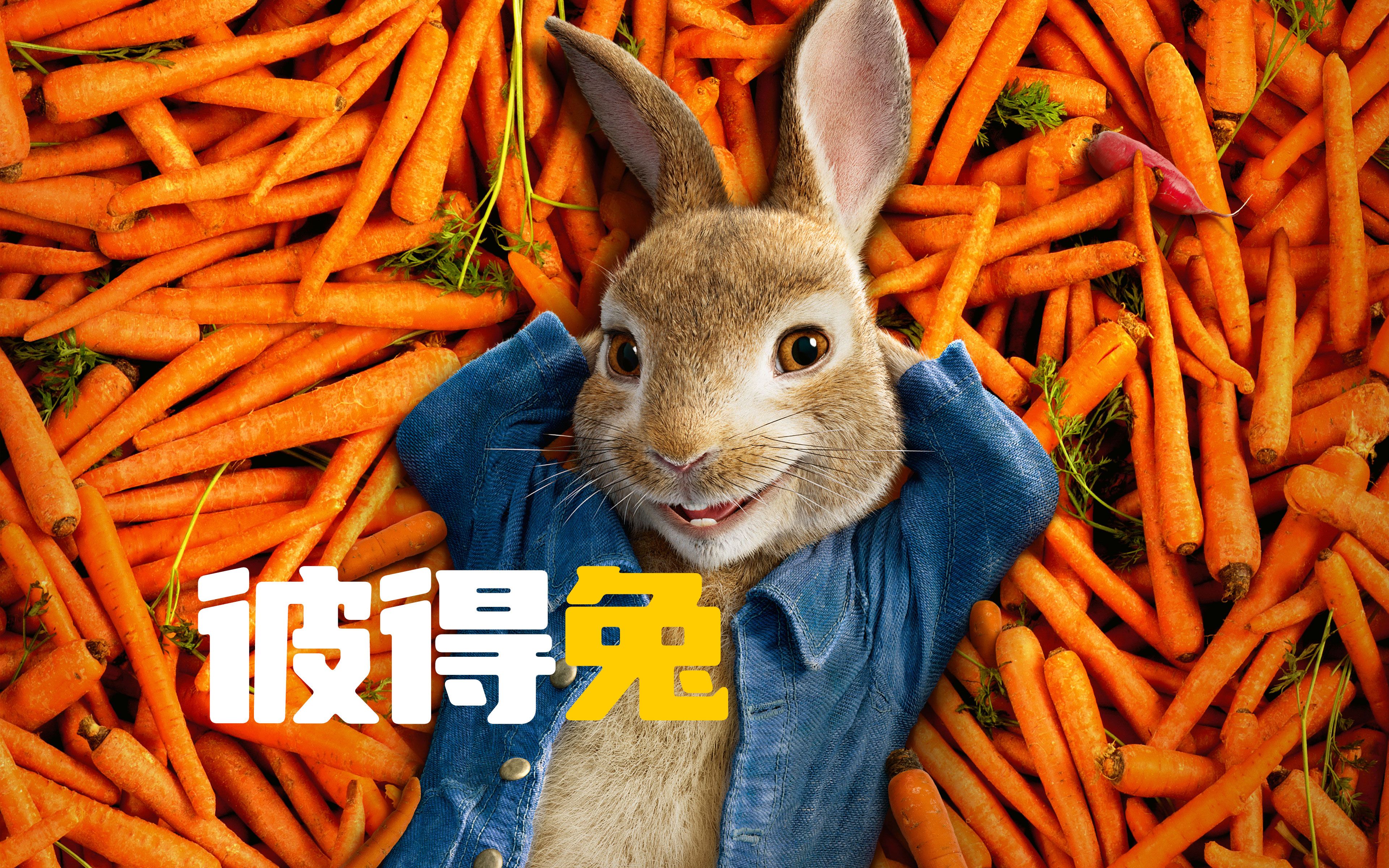 男人和一群兔子斗智斗勇 竟意外收获了爱情《比得兔》