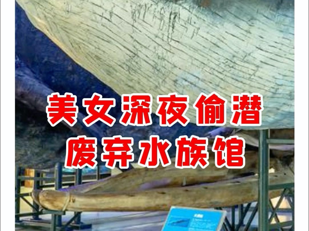 【微拍堂】美女深夜偷潛,廢棄水族館