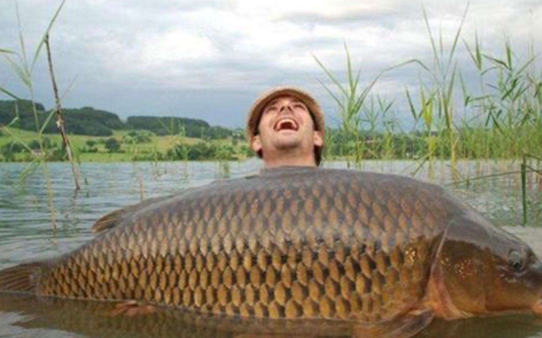 美国鲤鱼泛滥成灾,中国人表示完全不理解,根本不够吃!纪录片