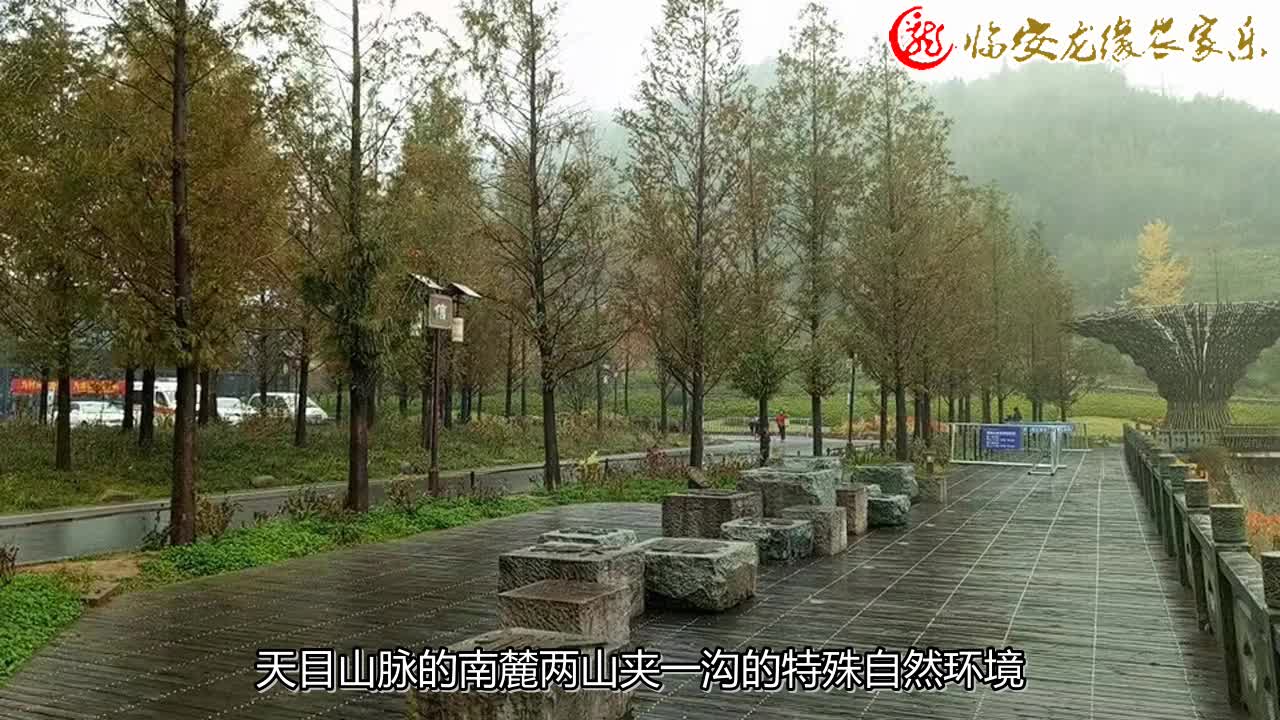 【龙缘农家乐】 上海附近农家乐,特色农家乐,篝火晚会农家乐哔哩哔哩bilibili