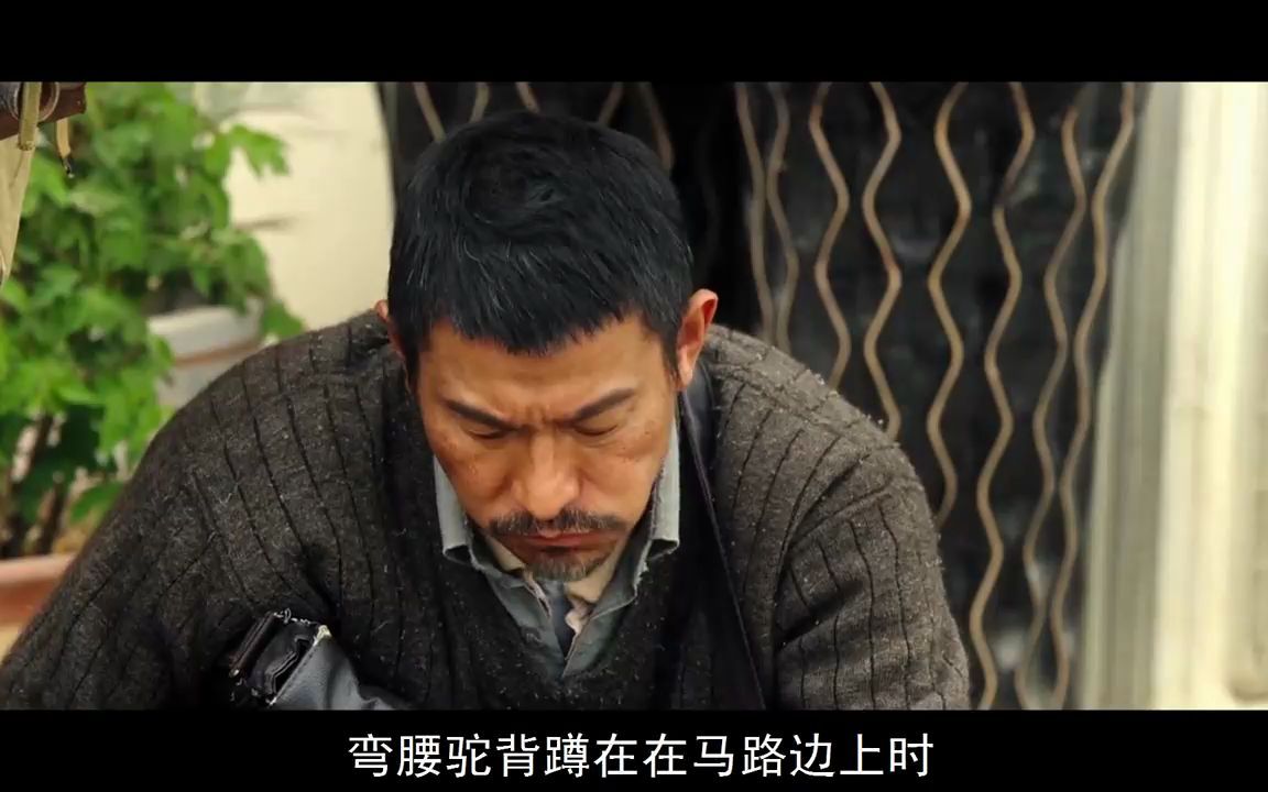 刘德华为什么演失孤