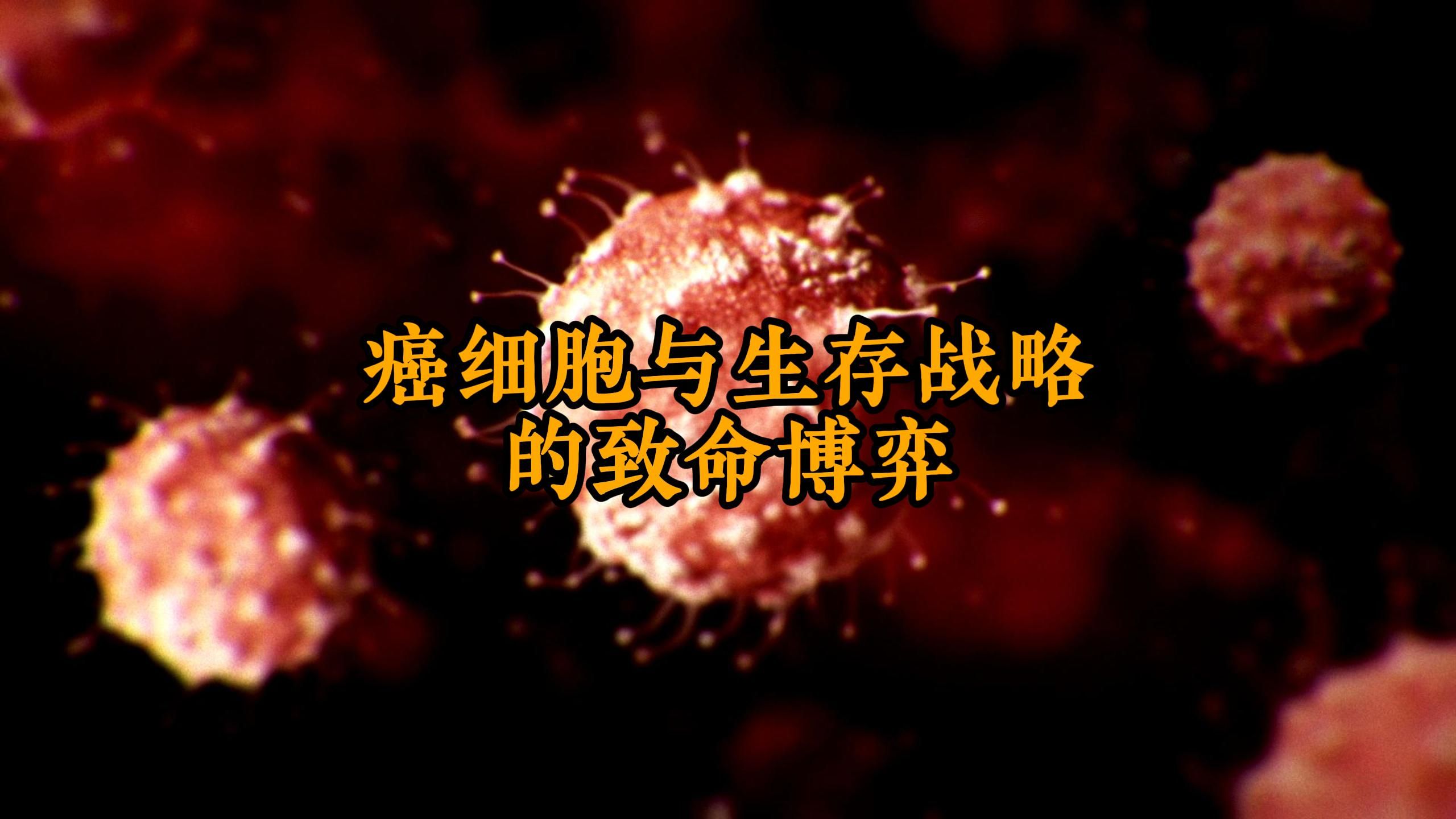 癌症:癌细胞与生存战略的致命博弈哔哩哔哩bilibili