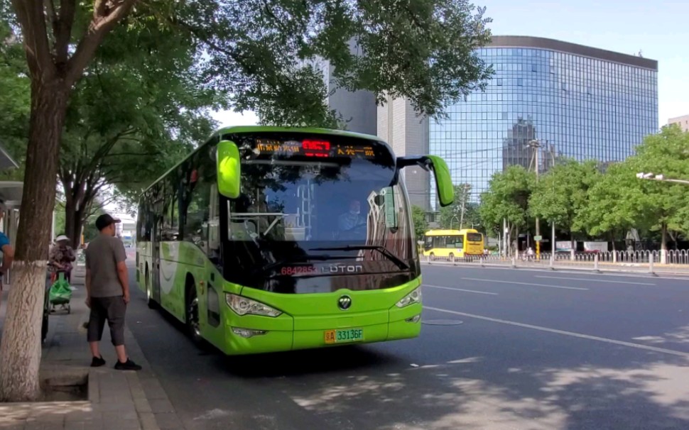 北京公交虫子图片