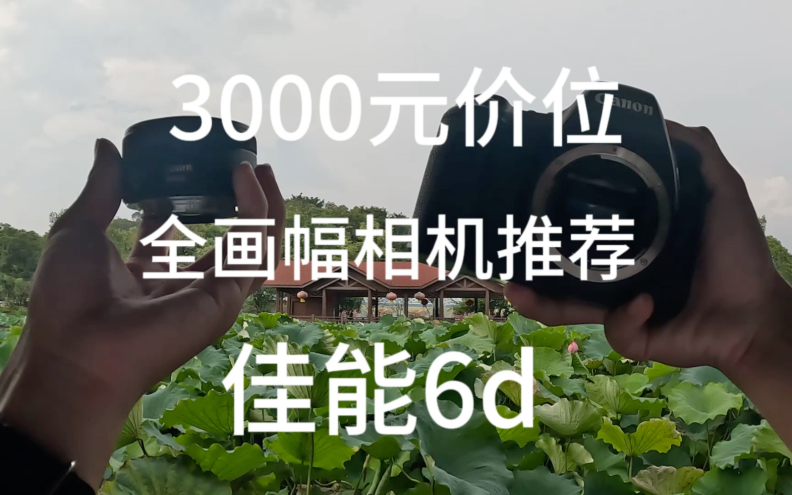 3000 元价位 佳能全面幅单反相机推荐佳能6d 2020 万有效像素1080p30桢视频拍摄还带wiFi是新手小白入门相机的不二之选哔哩哔哩bilibili