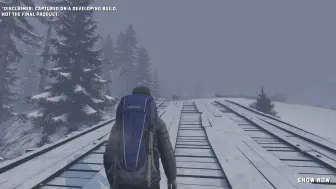 下载视频: DayZ 开发者日志-最初预告片中的雪vs现在的雪