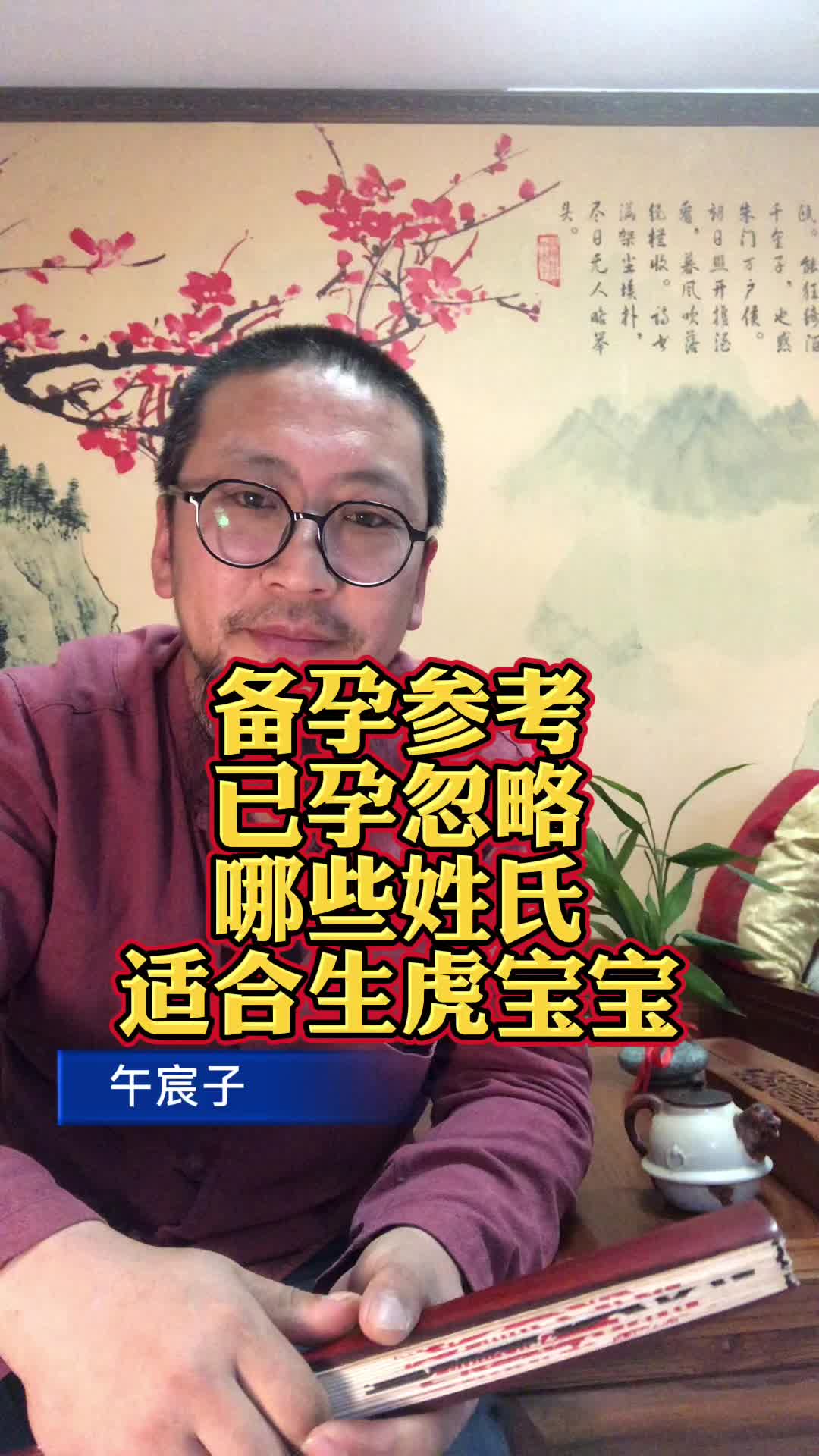 午宸子论哪些姓氏适合在虎年生宝宝已经怀孕请忽略哔哩哔哩bilibili