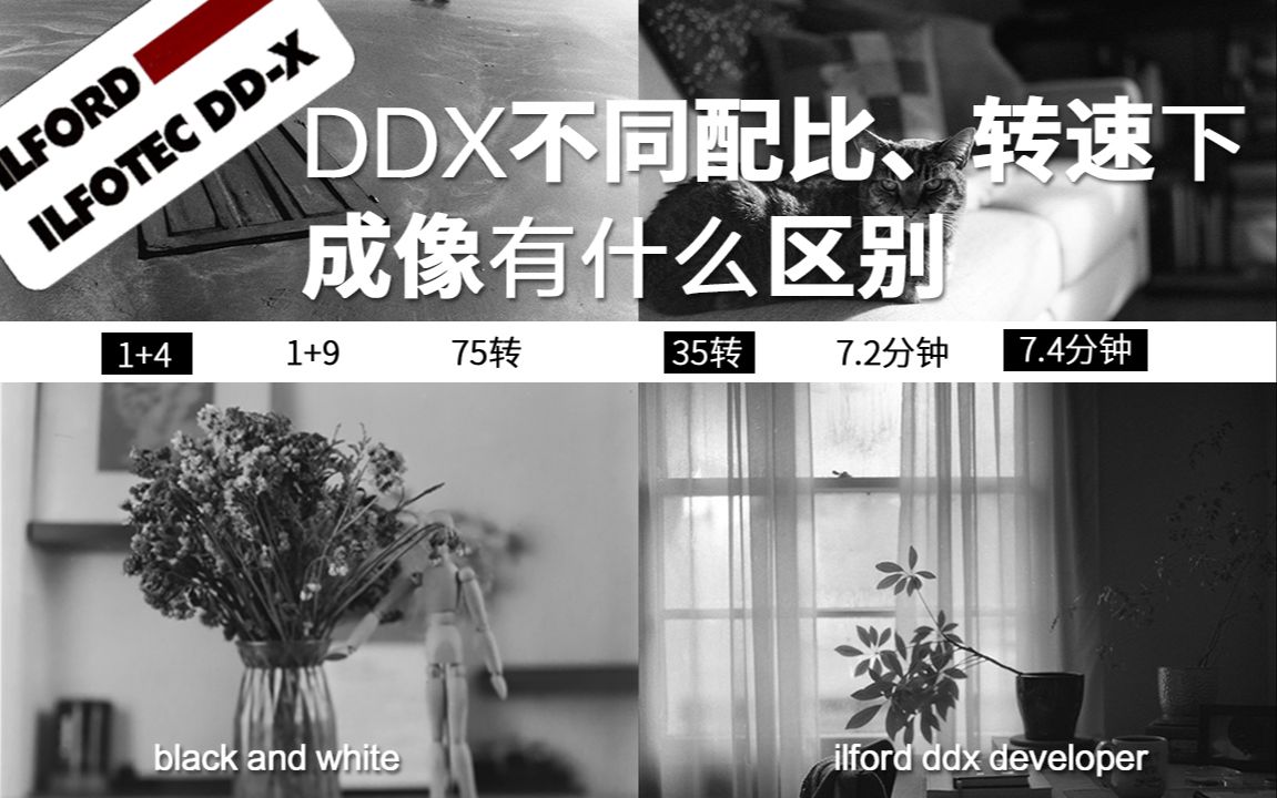 使用DDX显影液不同配比、不同转速、不同时间冲洗底片哔哩哔哩bilibili