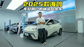 Descargar video: 2025款比亚迪海鸥：年轻用户不将就的选择！