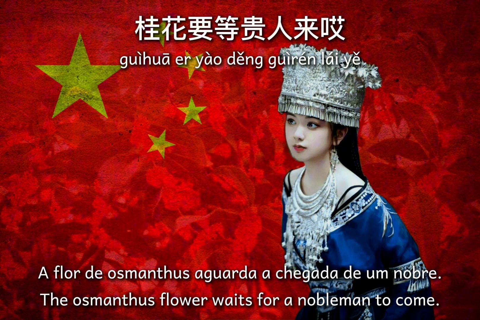 桂花开放幸福来 | As Flores desabrocham apenas quando convidados ilustres chegam