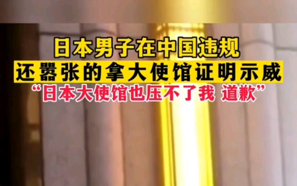 日本男子在中国违规,居然拿使馆证明示威,看警察如何回应哔哩哔哩bilibili