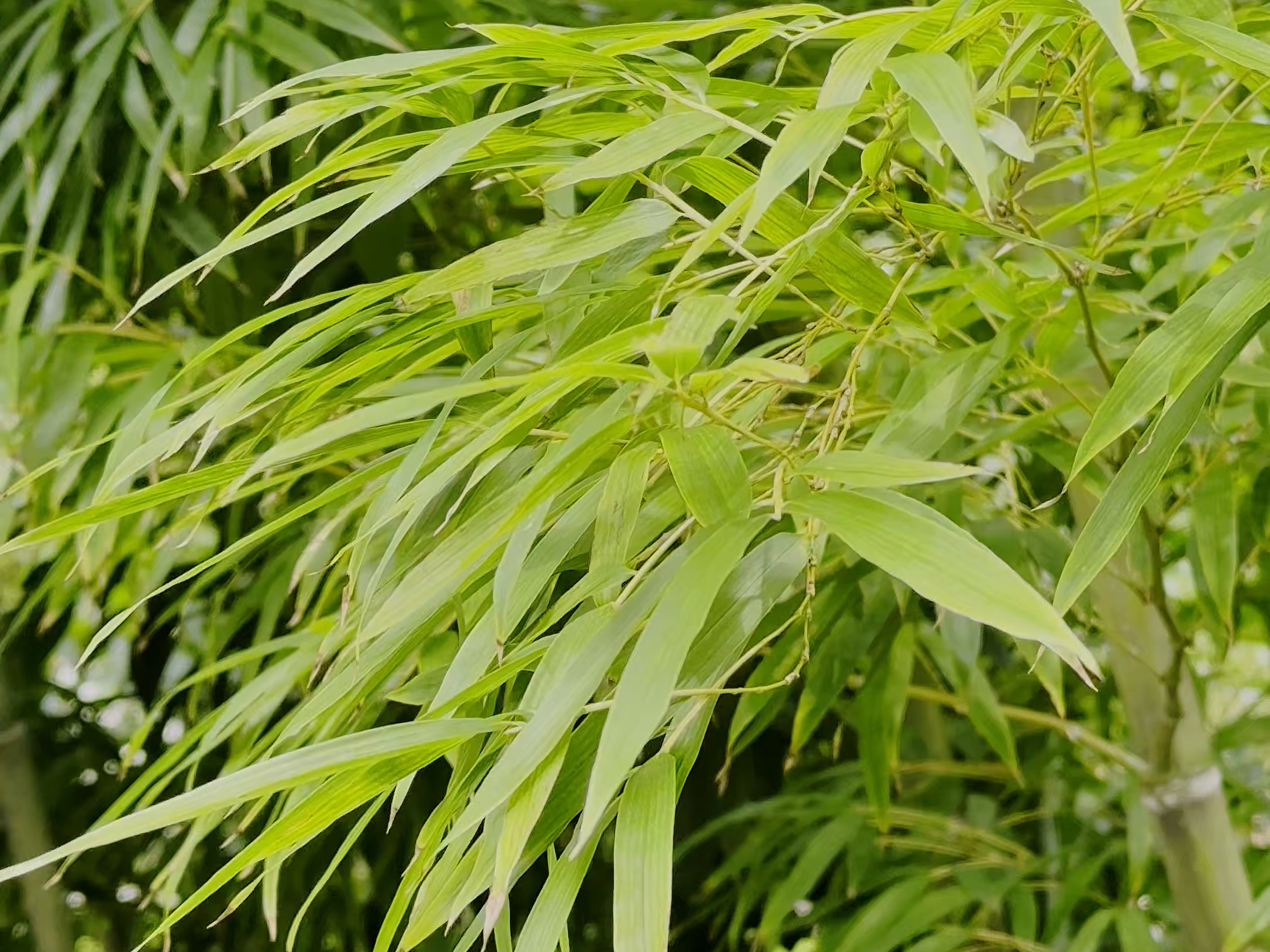 【梁溪摄影人】最新视频已上线，快来围观！