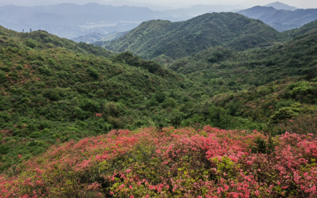 铜鼓七星岭,汤里温泉哔哩哔哩bilibili