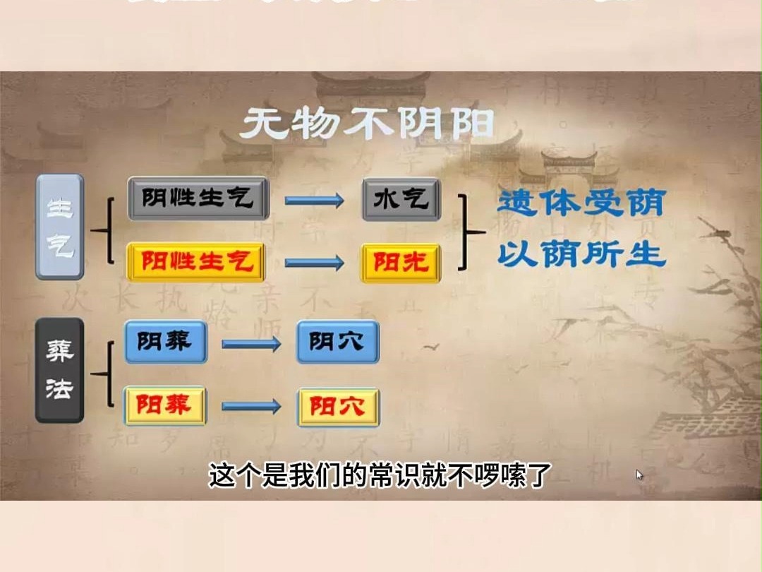 阴性生气和阳性生气遗体都能起到以荫授荫的功效哔哩哔哩bilibili