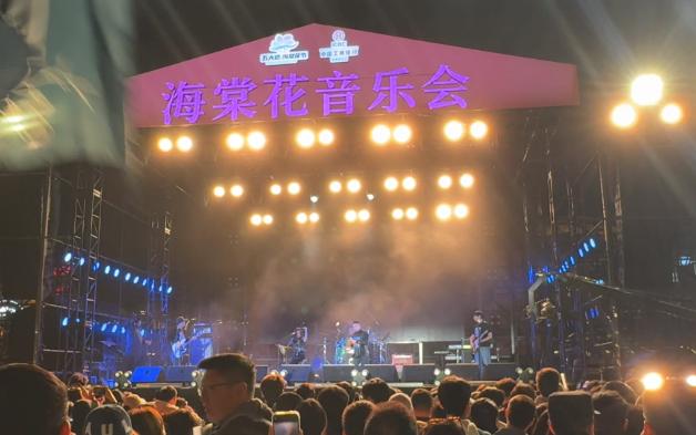 《玲珑塔》-西游乐队 20240329-天津-民院广场-海棠花音乐节