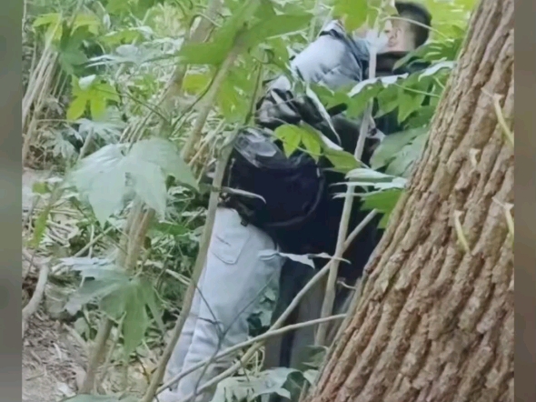 去小树林方便,结果……我不是故意的!我该怎么办?