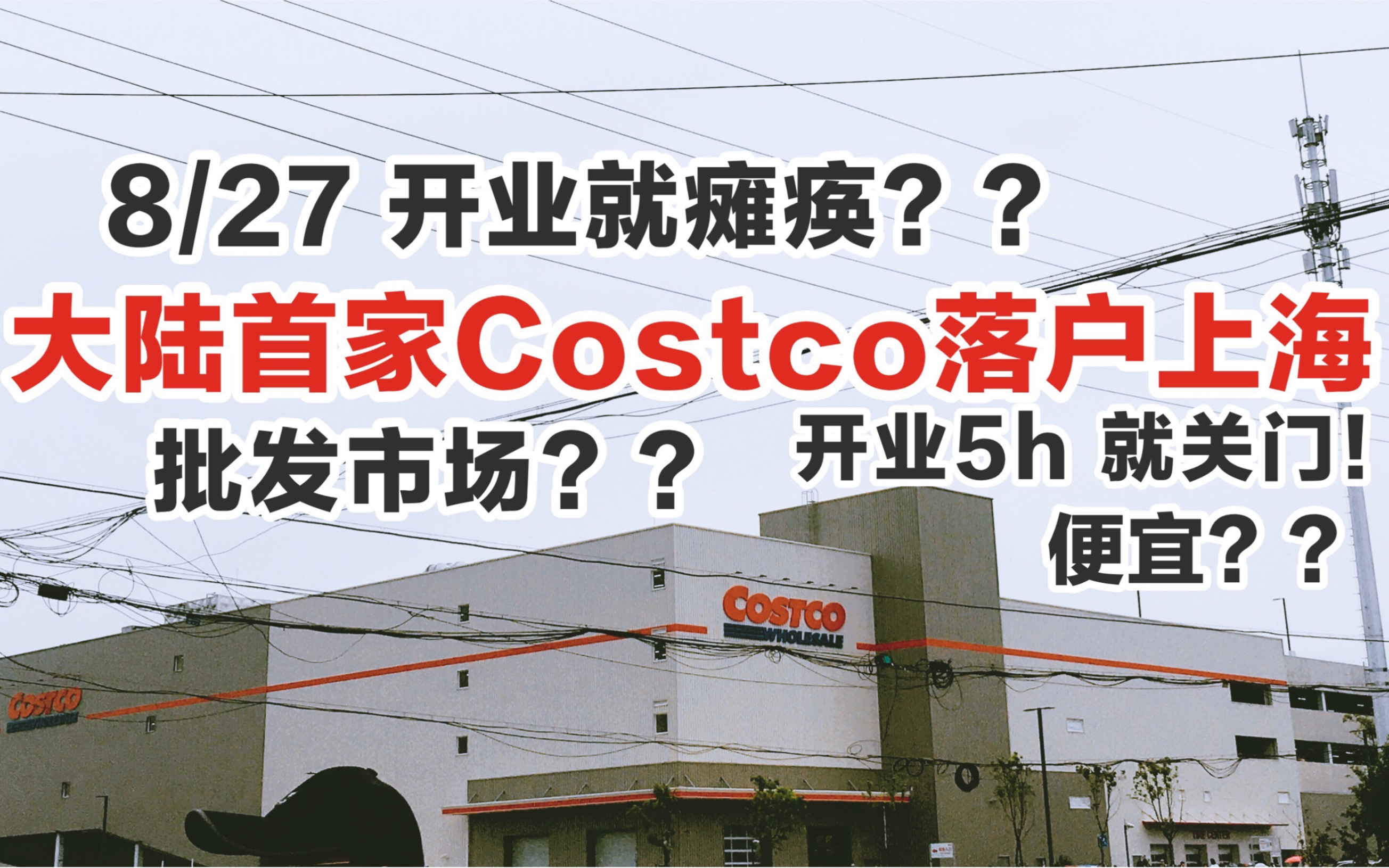 【全网首发】带你现场直击上海Costco|内涵攻略|开业5h就关门|Siobhan哔哩哔哩bilibili