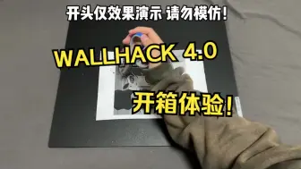 Download Video: 【Ask】玻璃垫的天花板？开箱WALLHACK的SKYPAD4.0！