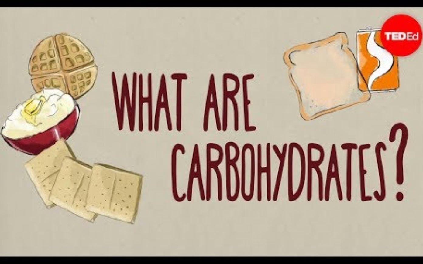 [图]【Ted-ED】碳水化合物如何影响你的健康 How Do Carbohydrates Impact Your Health