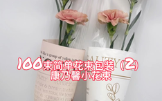100束简单花束包装 2 康乃馨小花束 哔哩哔哩 Bilibili