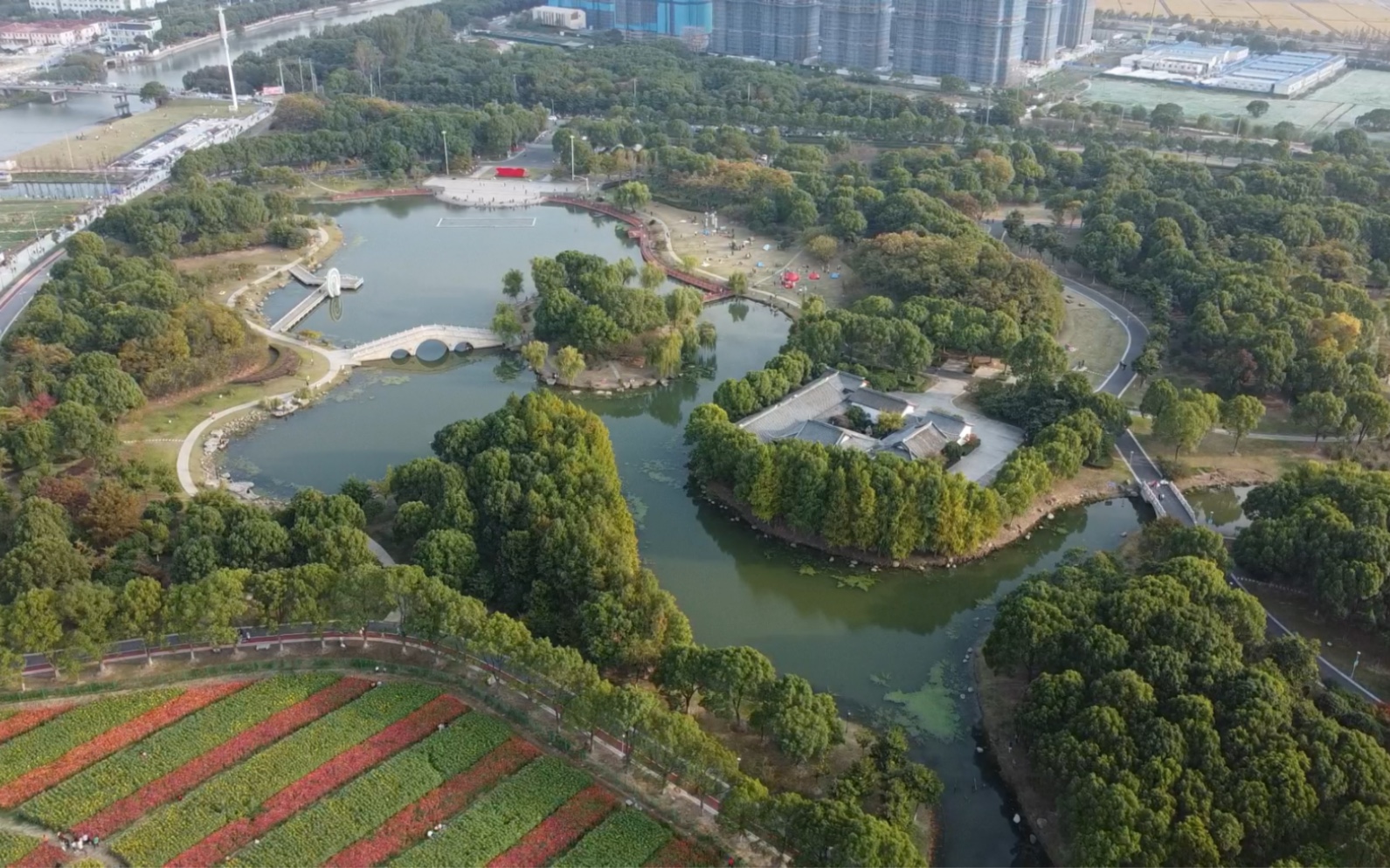 陆家 蒹葭生态园 花海