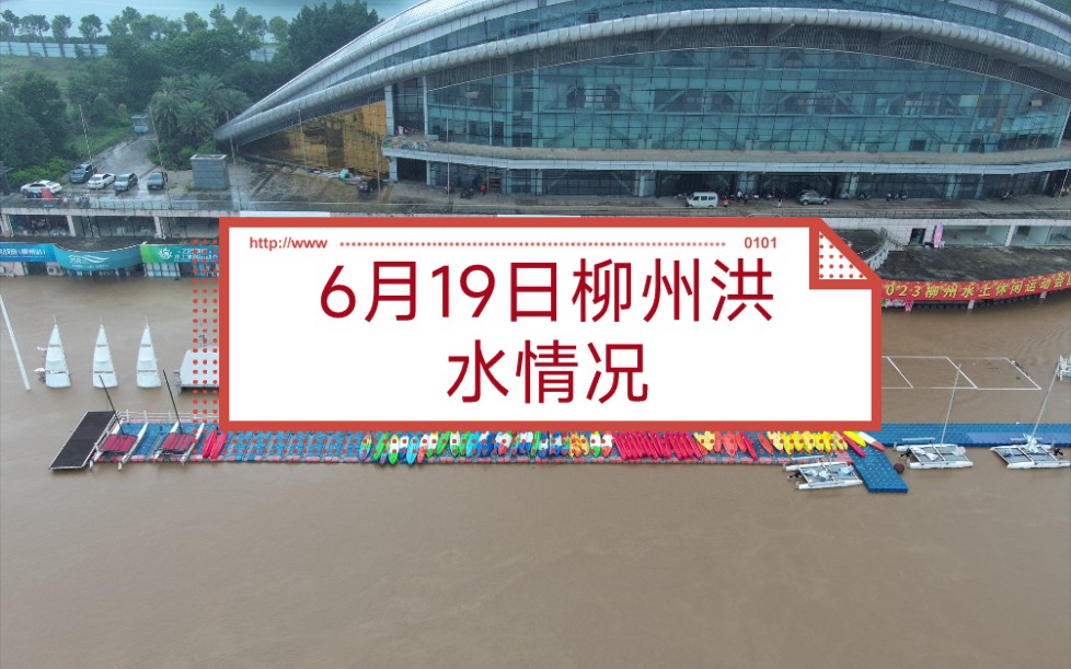 柳州是洪水,2024年6月19日,真实拍摄,希望大家关心一下哔哩哔哩bilibili