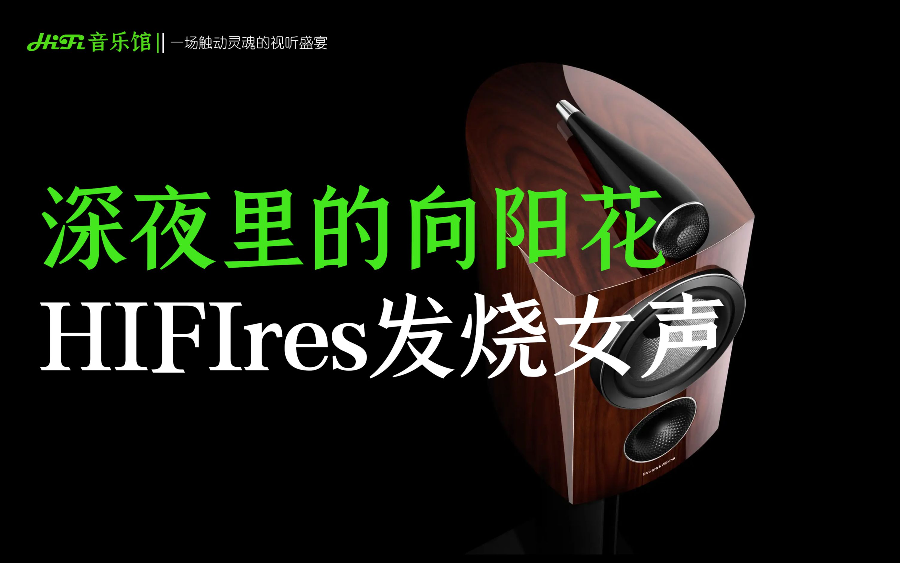 深夜里的向阳花 匆匆岁月蹉跎年华无损音乐高保真HIFIres发烧女声励志成长哔哩哔哩bilibili