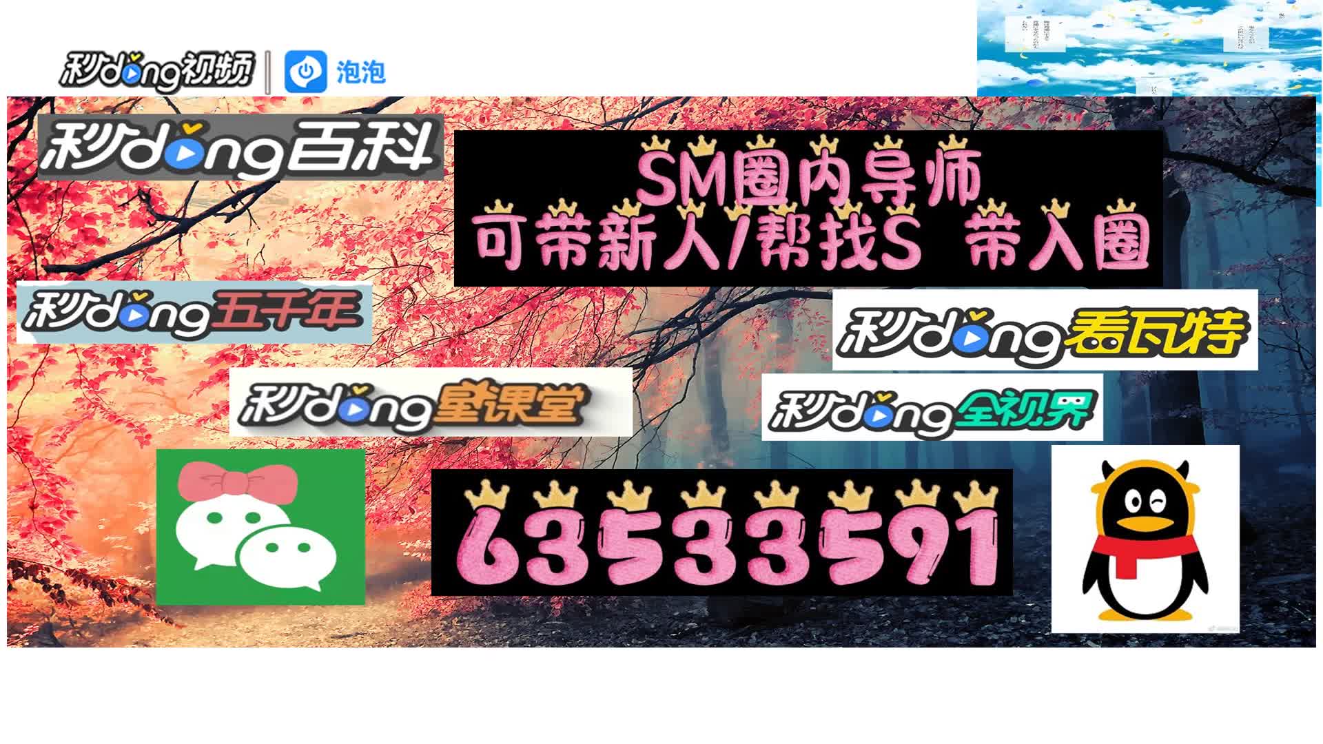 『°小视』新手m怎么和s聊天