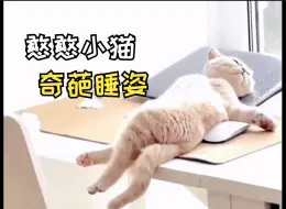 Download Video: “震惊！你家猫也这样睡觉的么？！”