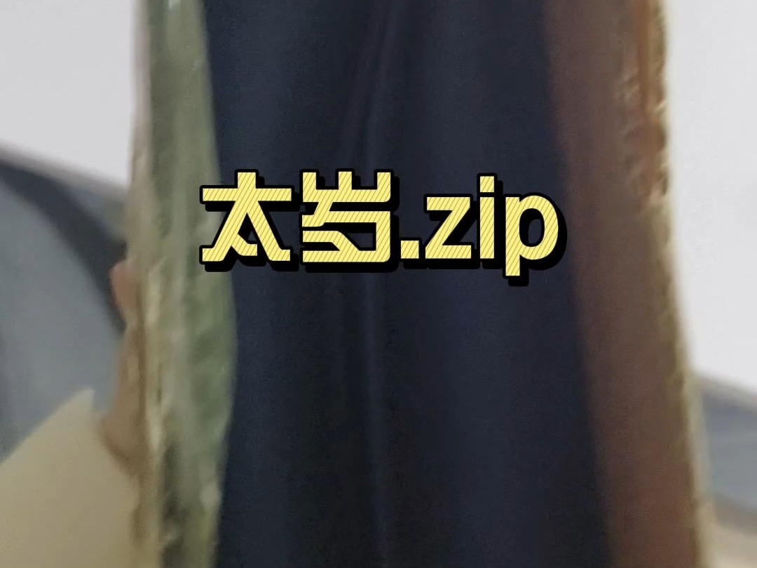 太岁.zip哔哩哔哩bilibili