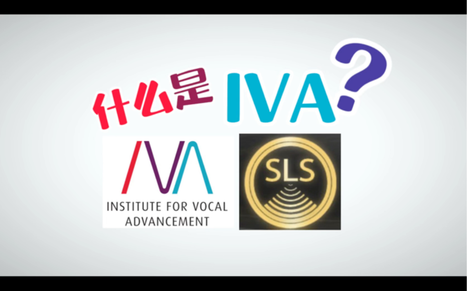 很多人都知道SLS,那IVA是什么?哔哩哔哩bilibili