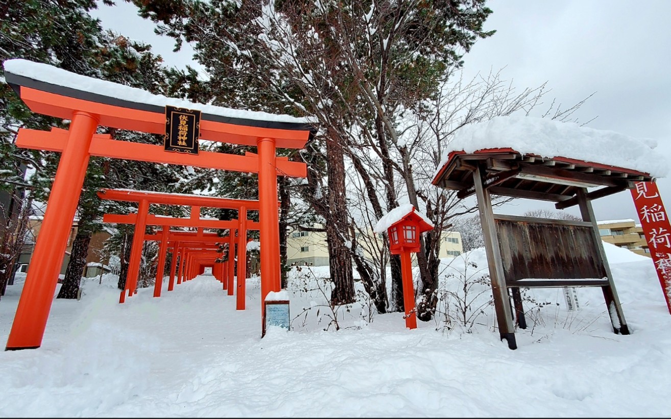 札幌的雪图片