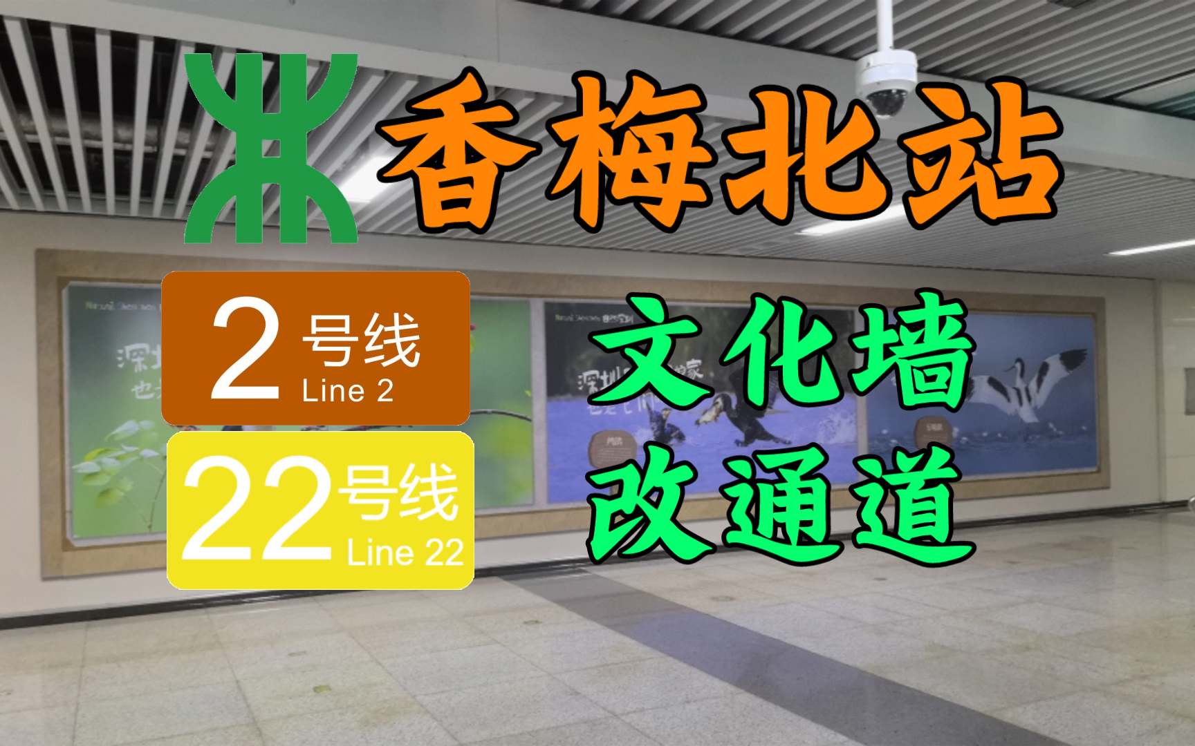 【深圳地铁】再现文化墙改换乘通道?新线已围蔽完成?2号线香梅北站在建22号线探访实录哔哩哔哩bilibili