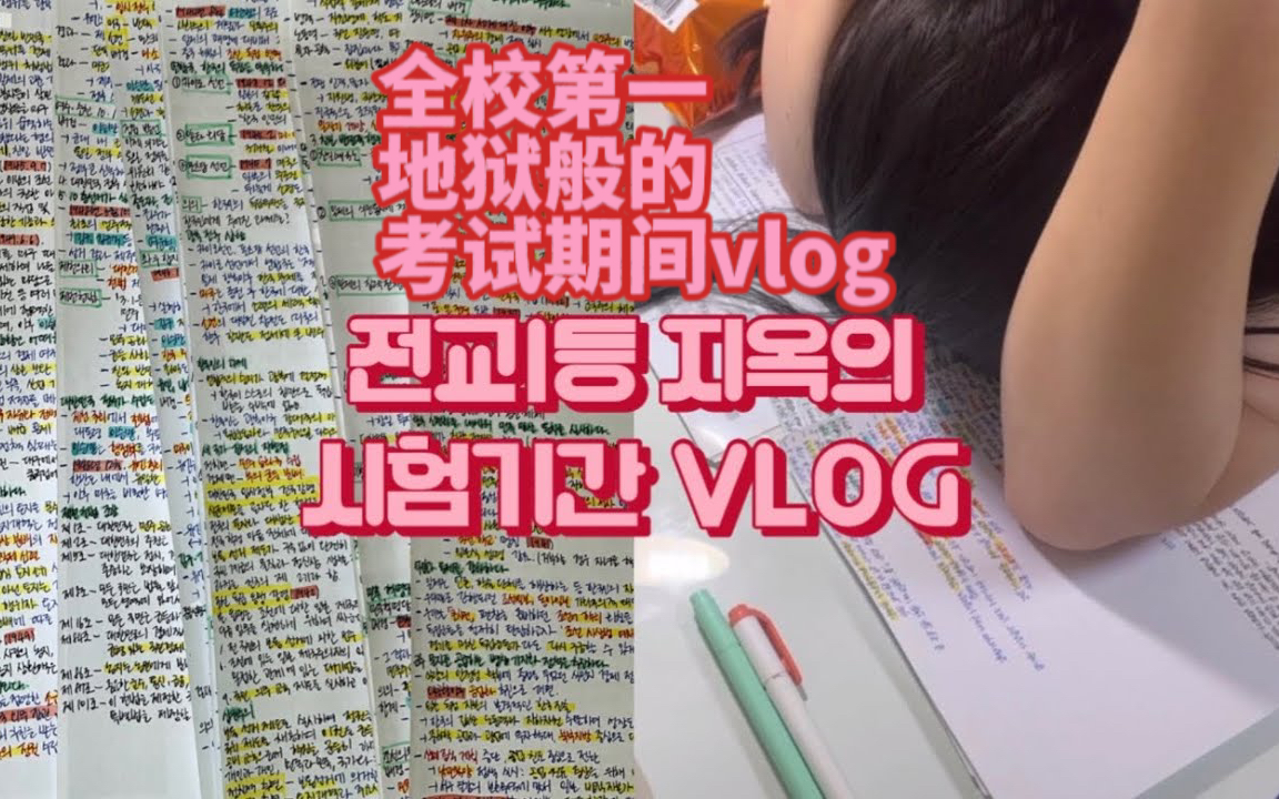 [图]【中字】韩国全校第一女高中生的考试复习日常vlog|连续通宵学习|只睡了一小时|地狱般的考试期间|疯狂得学习让人上瘾|化身答题机器|期中考试倒计时10天